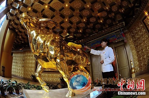 點(diǎn)圖查看下一頁 華西村“價(jià)值三億元”的一噸重金牛