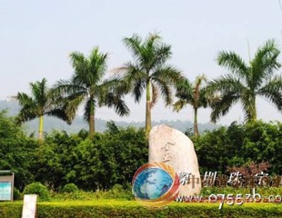 依托區位優勢 打造高端珠寶文化產業園