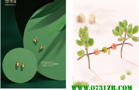 盎然添彩,舞動(dòng)夏日輕盈——老廟特別呈現(xiàn)夏季活力風(fēng)尚