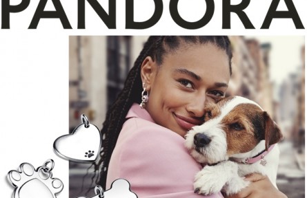 助力傳承,周大福第二季「傳」新制片人挑戰賽圓滿落幕