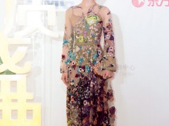 劉詩詩佩鉆石珠寶優(yōu)雅現(xiàn)身“中國電視劇品質盛典”