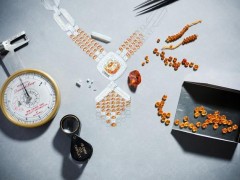 路易威登Louis Vuitton:鎖鏈風格High Jewellery