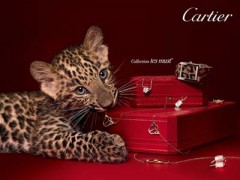 卡地亞豹子頭手鐲價格|卡地亞豹子官方報價