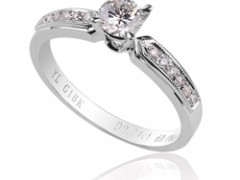 結婚戒指經典款2010年都是有哪些