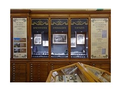 巴黎礦物學(xué)博物館新增「法國王室珠寶」展柜