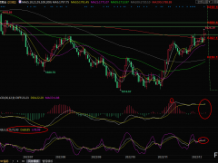 現(xiàn)貨黃金交易策略：多頭大軍出動(dòng)，關(guān)注美聯(lián)儲(chǔ)決議和鮑威爾講話
