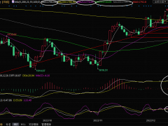 現(xiàn)貨黃金交易策略:美聯(lián)儲(chǔ)進(jìn)一步加息前景抵消美元走軟影響,金價(jià)仍有見頂風(fēng)險(xiǎn)