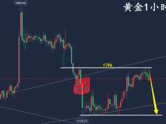 萬錦晟12.19最新黃金走勢分析,黃金高位橫盤受阻謹防下跌!