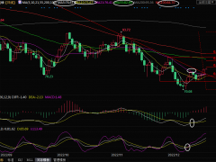 美原油交易策略:庫(kù)存下降+假日需求高峰季來(lái)臨,多頭劍指80關(guān)口上方