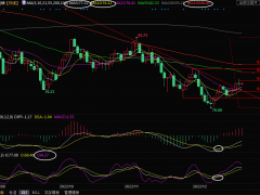 美原油交易策略：臨近圣誕假期，市場關注俄羅斯石油價格上限的反應