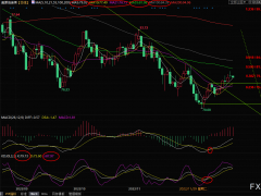 美原油交易策略:關(guān)注美國(guó)暴風(fēng)雪影響,油價(jià)短線承壓