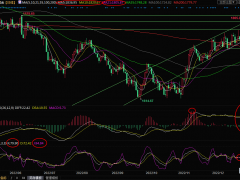 現貨黃金交易策略:“小非農”攜手初請數據來襲,警惕空頭反撲