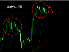 杜康:黃金高位震蕩,早盤1865支撐先多!