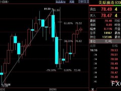 NYMEX原油料升破79.52美元