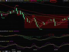 美原油交易策略:美國(guó)GDP數(shù)據(jù)緩解需求擔(dān)憂,油價(jià)將重拾漲勢(shì)?