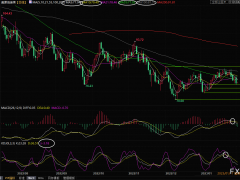 美原油交易策略：美元走弱支撐油價(jià)，但庫存擔(dān)憂揮之不去