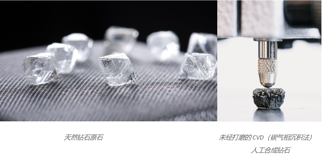 1683704592169777.png cd6919a16d92fcf8c49073c91e56487.png