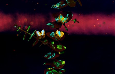 周大生首創(chuàng)熒光琺瑯工藝:好看的皮囊和閃光的內(nèi)在,TA都有!